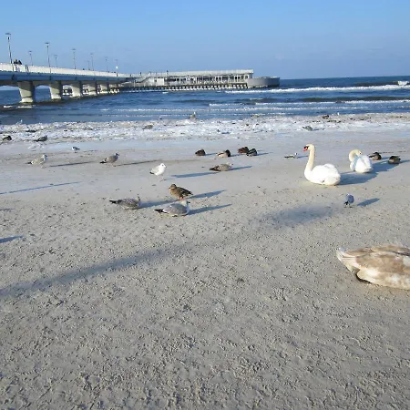 Morskie Polanki Apartamento Kołobrzeg